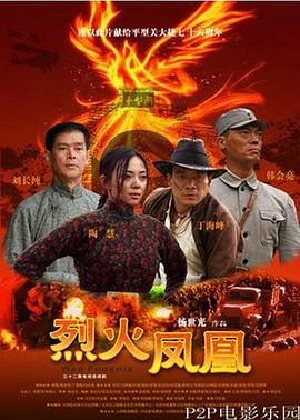 烈火凤凰第30集
