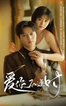爱你不逢时第08集