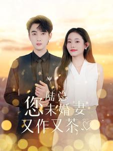 陆总您未婚妻又作又茶第85集