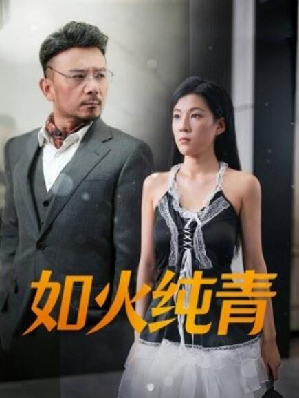 如火纯青第22集