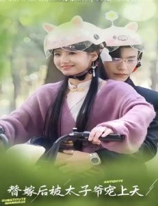 替嫁后被太子爷宠上天全集(大结局)