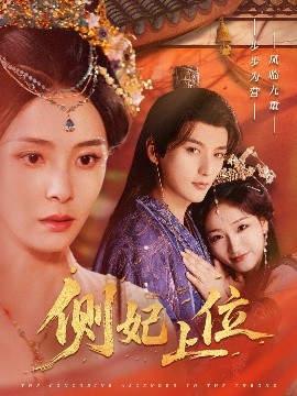 侧妃上位全集(大结局)