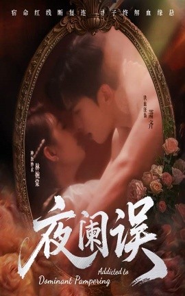 夜阑误全集(大结局)