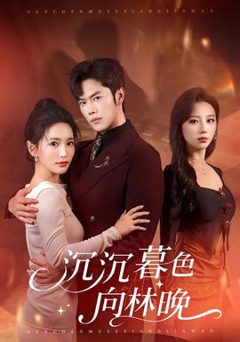 沉沉暮色向林晚(全集)